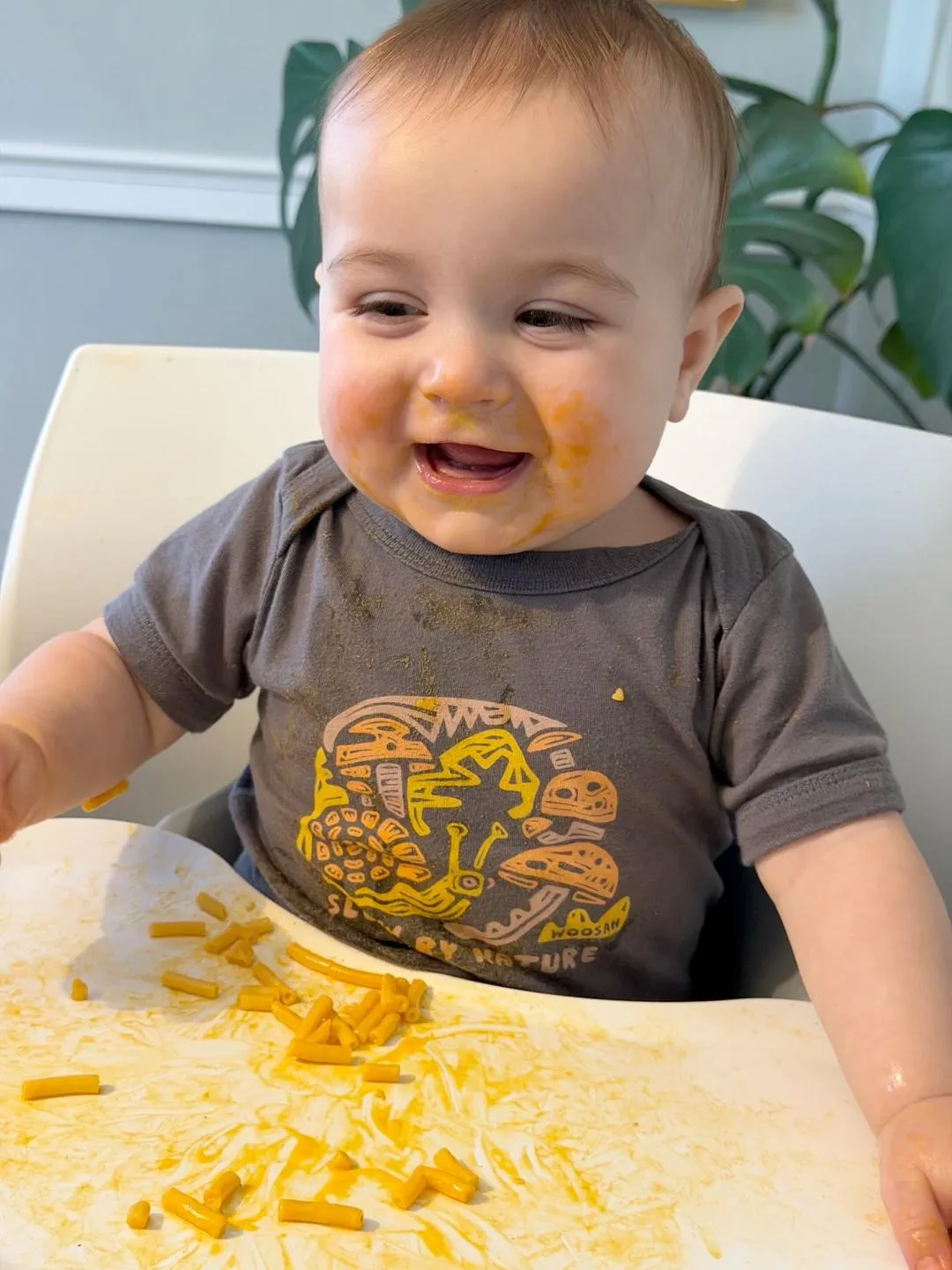 Atticus, contemplative